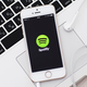 Illustration for article titled Filter Your Spotify Playlists for Easier Music Management